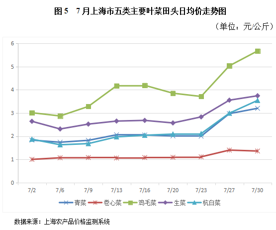 上海最新菜价概览，蔬菜价格走势分析