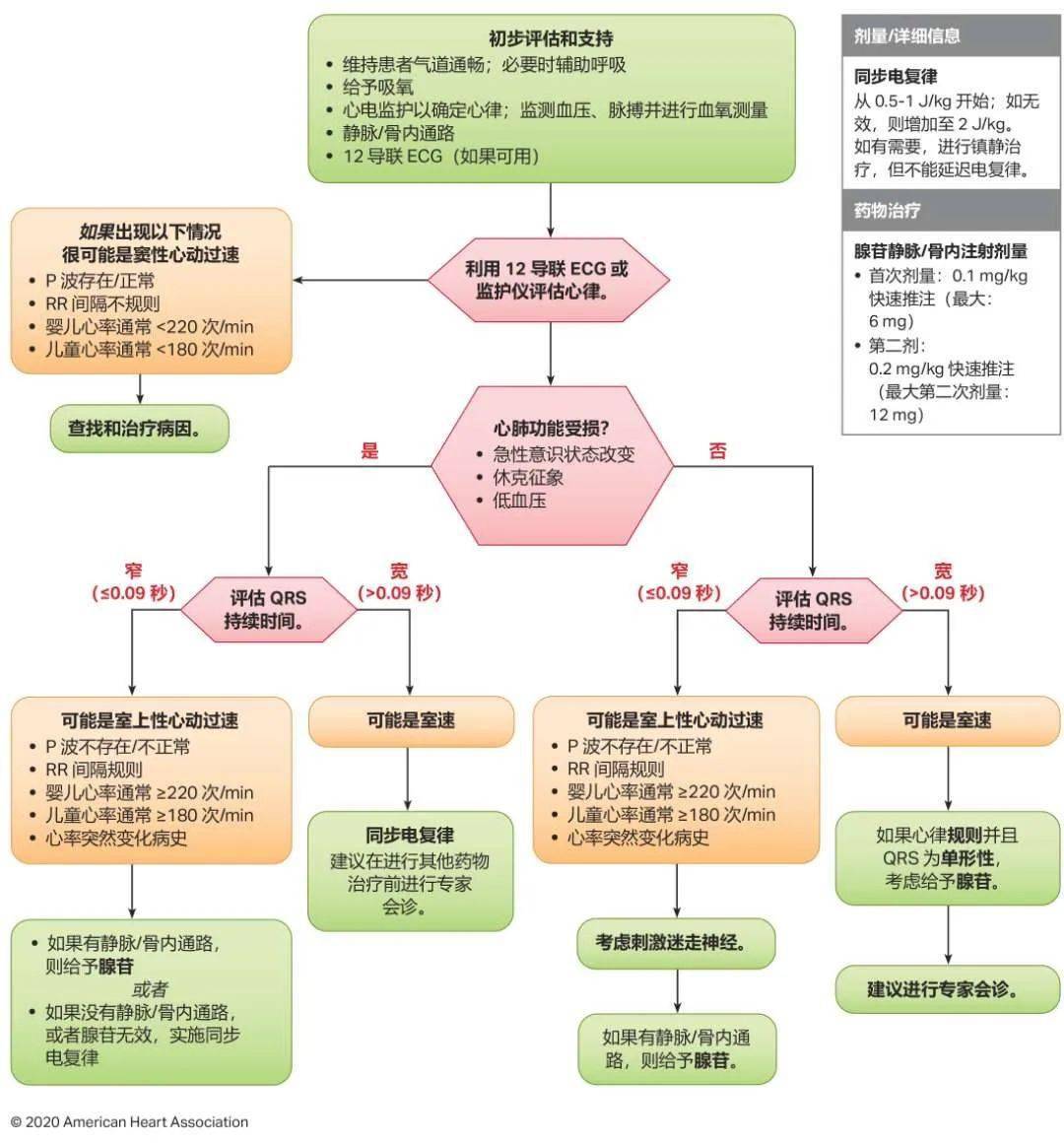 掌握最新CPR流程，守护生命之线，急救技能的重要性