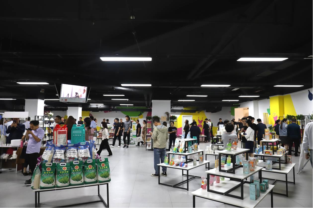 星球基地最新进展及未来展望报告