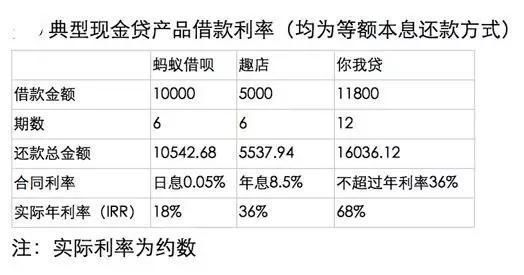 最新借款利息分析与展望，深度了解与解读