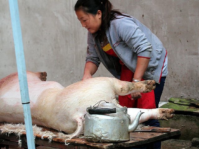 美女杀猪，传统与现代的交融魅力