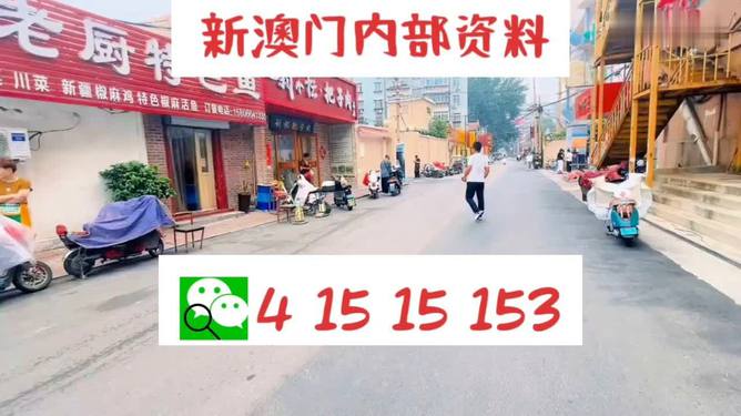 2024澳门天天开好彩大全app,实地验证数据分析_挑战版18.734