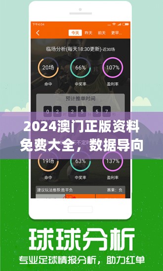 2024年新澳门王中王免费,深入数据应用执行_DP62.333