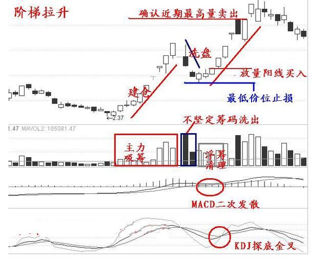 澳门最精准正最精准龙门蚕,经典解释定义_zShop52.384