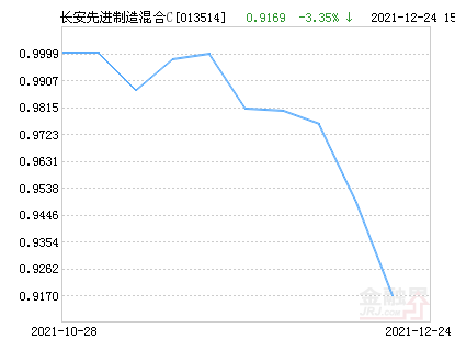 最新净值001225全面解读分析