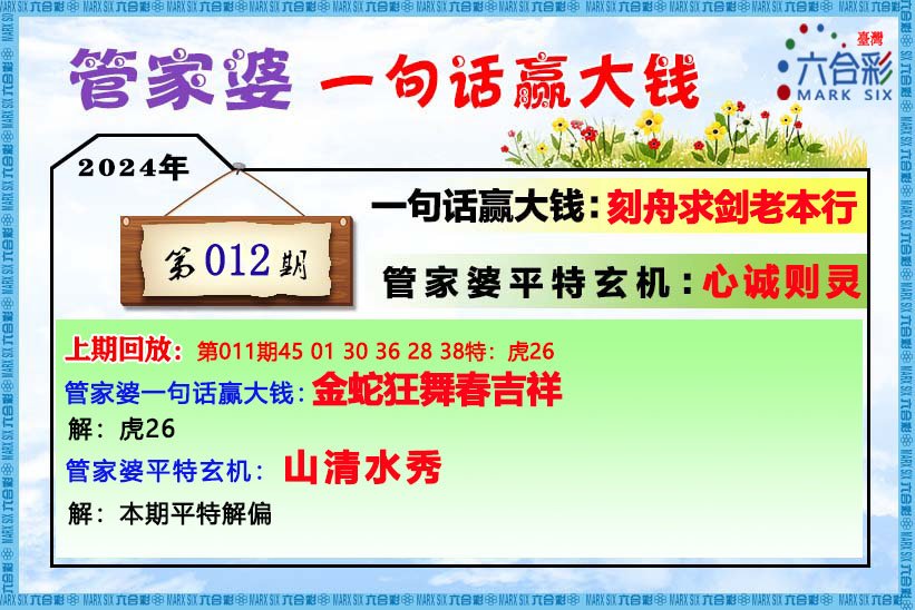 2o24年管家婆一肖中特,稳定设计解析策略_1080p26.934