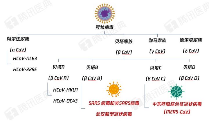 2024最新奥马资料传真,数据解读说明_钱包版16.898