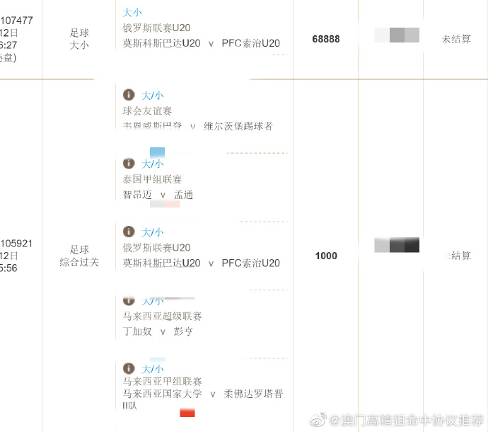 一码中精准一码免费中特澳门,实地方案验证策略_HDR49.923