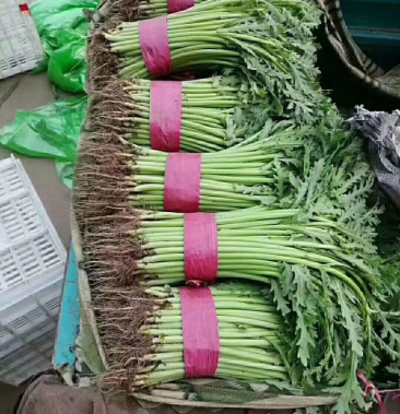 茼蒿价格最新动态，市场行情分析