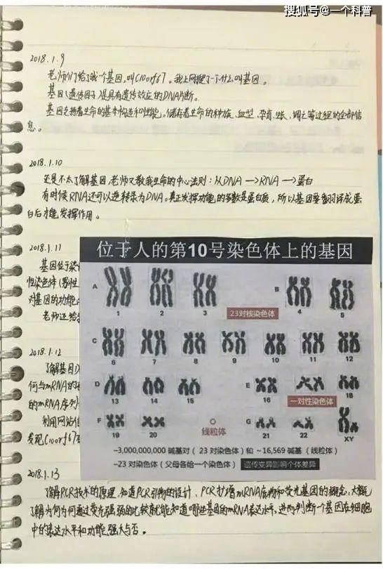 马报最新一期资料图2024版,科技成语解析说明_Essential88.916