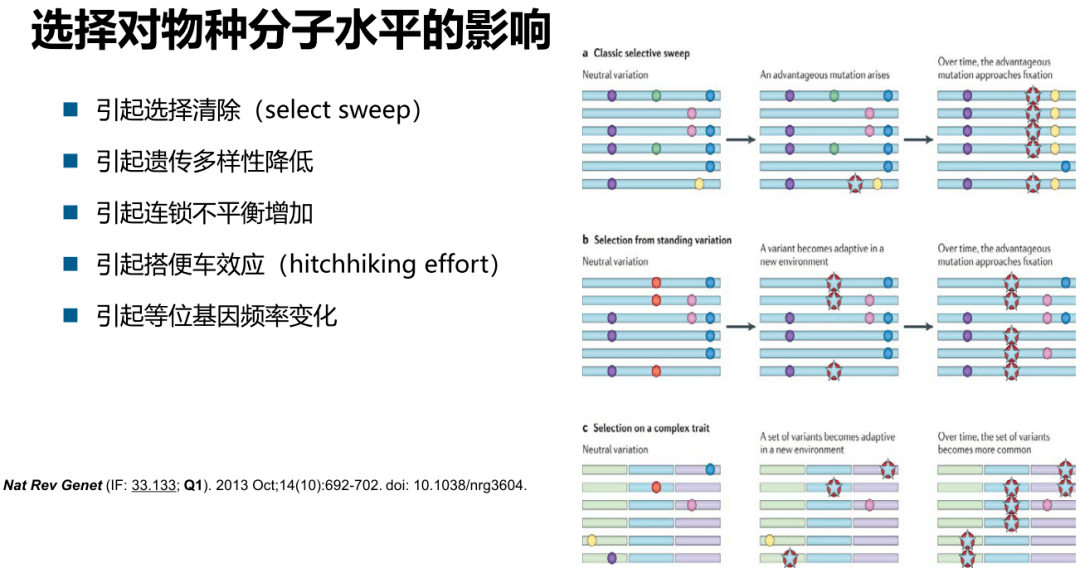 494949开奖历史记录最新开奖记录,快速设计问题策略_VIP68.649