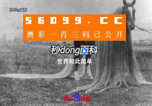 澳门一肖一码一必开一肖,长期性计划定义分析_iShop92.830