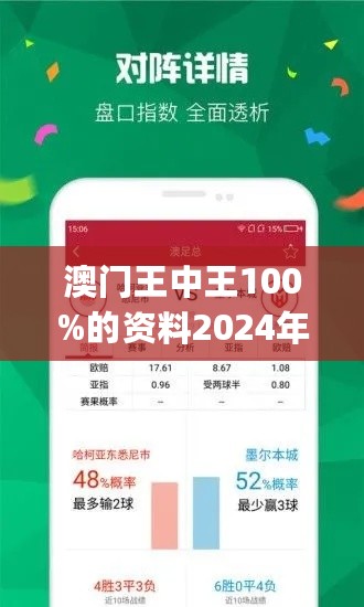 2024年王中王澳门免费大全,专业解析说明_进阶版78.602