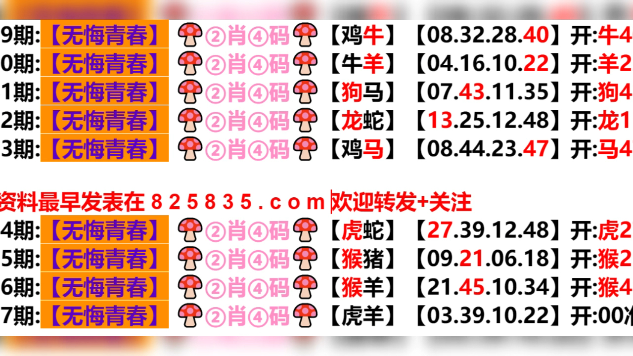 2024年新奥门天天开彩,专业解析说明_HD76.519