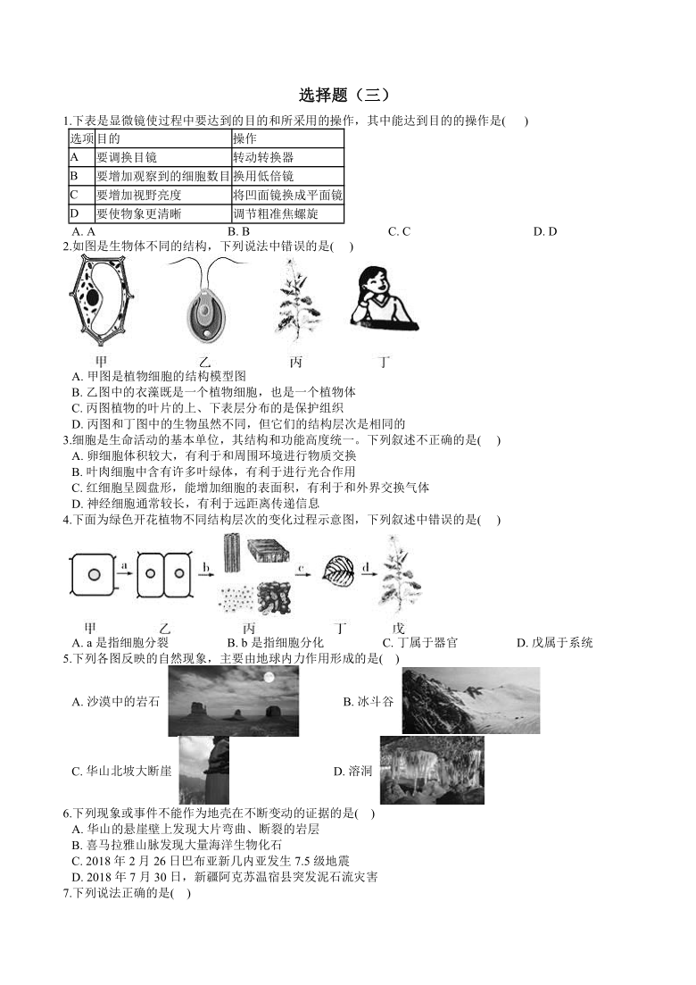 2024年12月2日 第53页