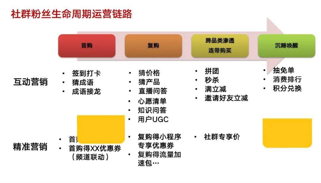 2024管家婆一特一肖,稳定性执行计划_T40.803