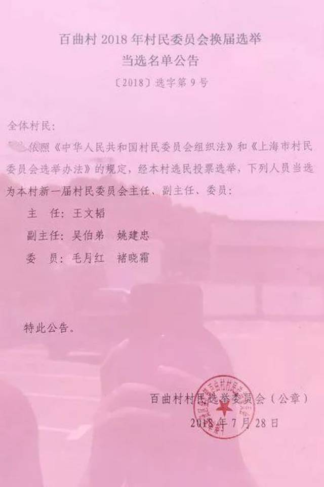 金柳村委会人事任命新成员，村级治理迈向新台阶