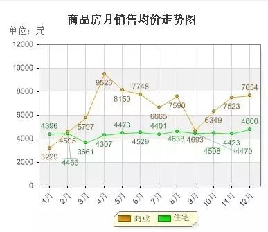 2024年12月4日 第7页