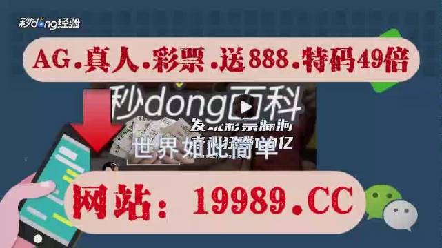 2024新澳门开奖结果开奖号码,经验解答解释落实_DP45.226