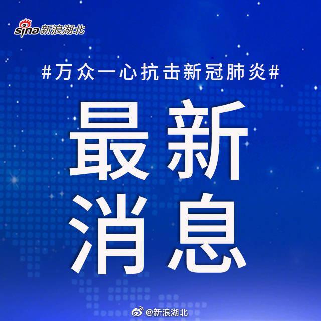 全球抗击新型肺炎疫情的新进展与挑战，最新消息概览