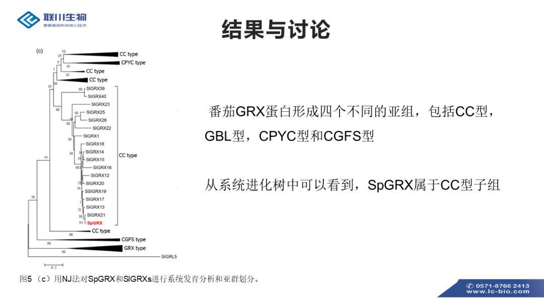 新澳全年免费正版资料,调整方案执行细节_Notebook91.941