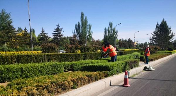 阿尔丁大街街道最新项目，重塑城市风貌的标志性里程碑