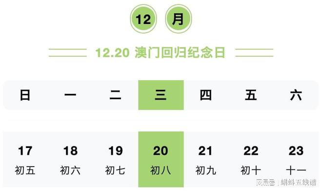 2024年12月11日 第14页