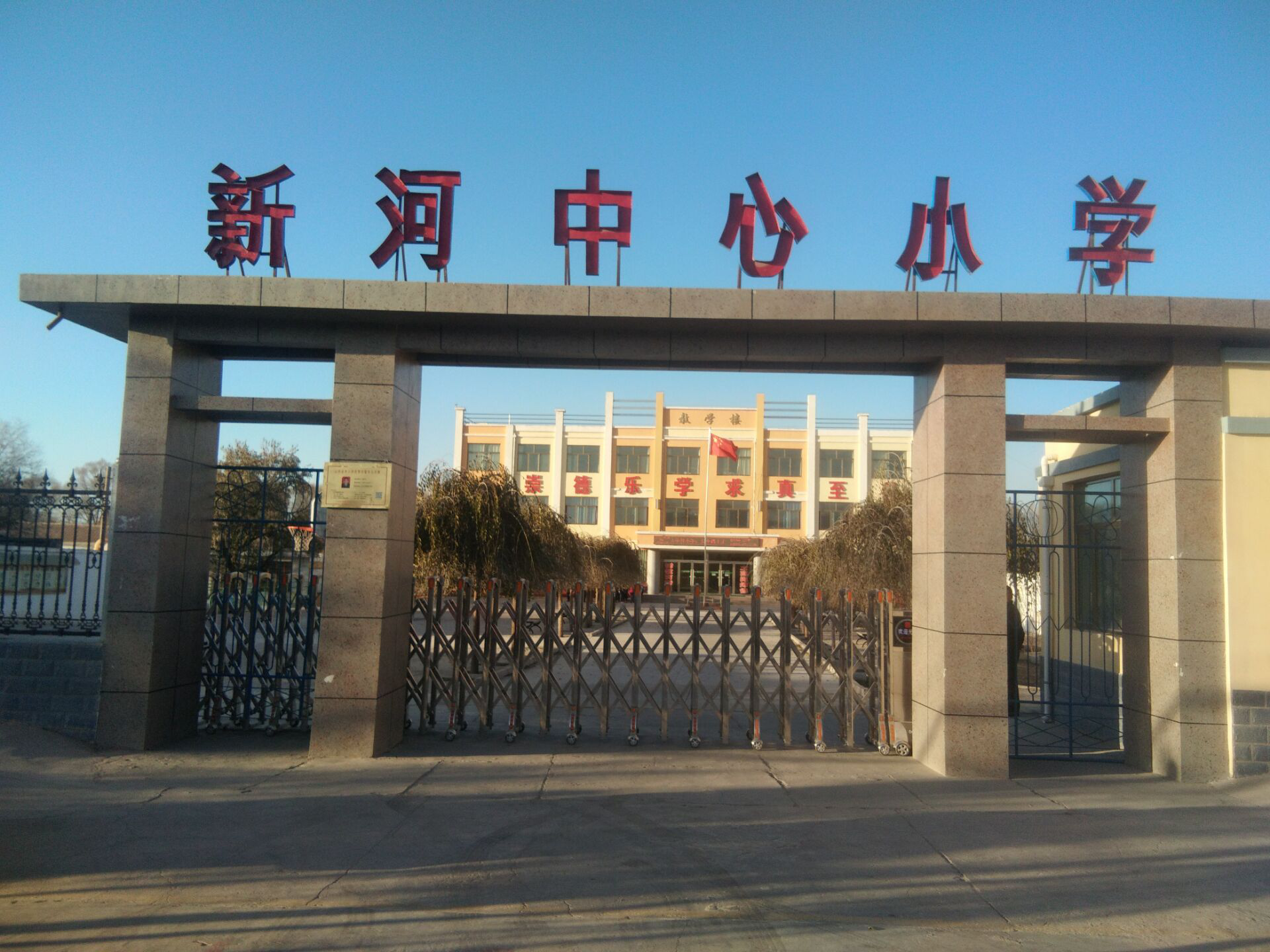 新河县小学发展规划概览