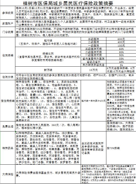 樟树市医疗保障局未来发展规划概览