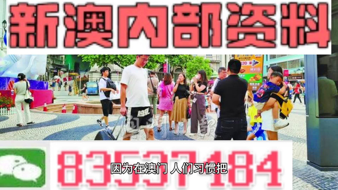 2024新澳最精准资料大全,权威诠释推进方式_限量版3.867