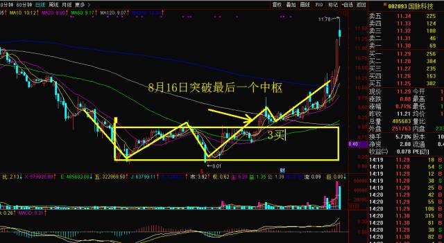 大赢家免费公开资料澳门,全面解答解释定义_5DM55.734