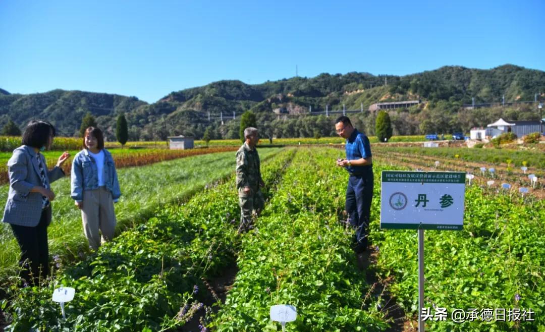 承德县科技局，最新动态与创新成果闪耀展示