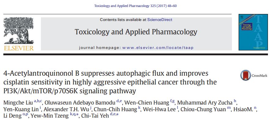 澳彩精准资料免费长期公开,实证研究解析说明_WP33.184