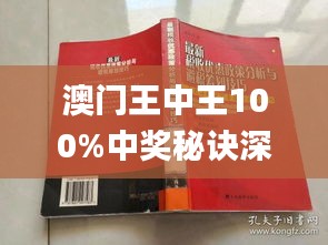 澳门王中王100%正确答案最新章节,实地验证数据策略_薄荷版57.228