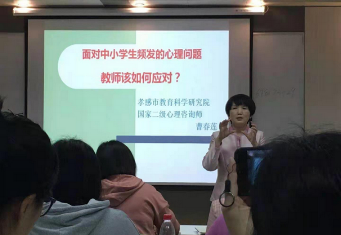 安陆市小学最新动态报道