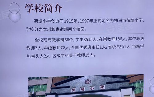 荷塘区小学最新招聘启事全面解析