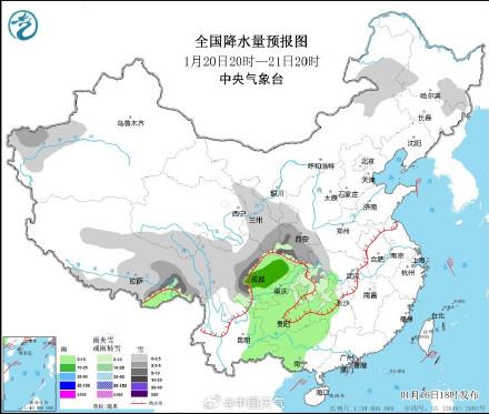 绽开的血滴