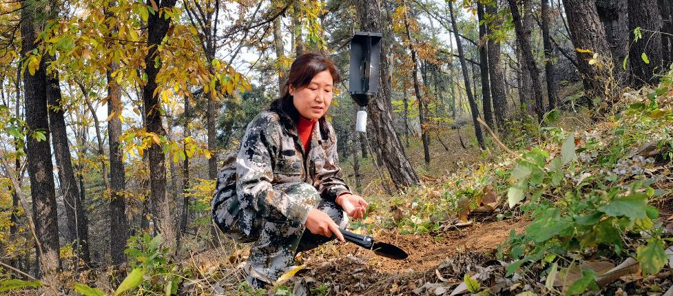 川口天气预报更新通知