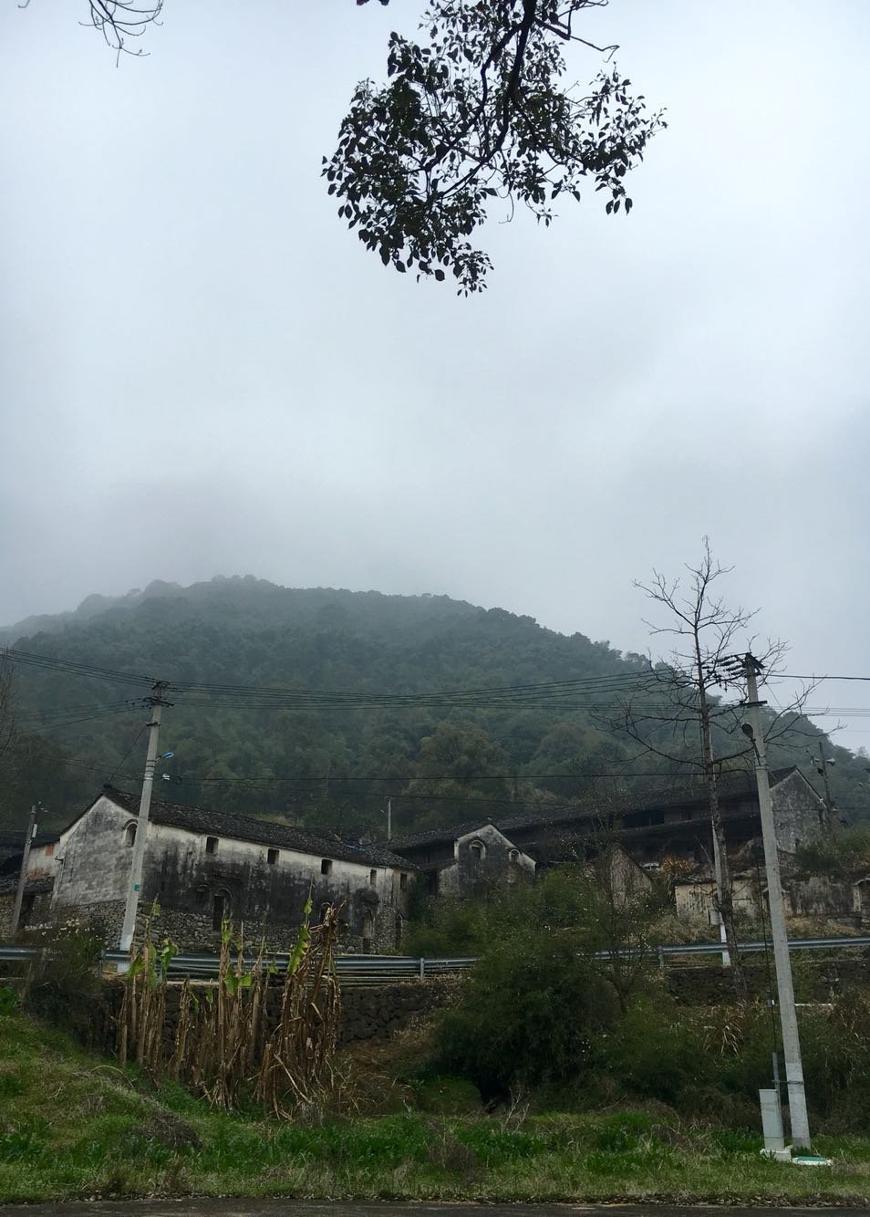 珠岙镇天气预报更新通知