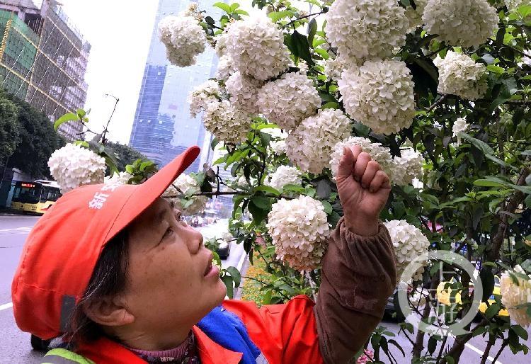 天桥区成人教育事业单位领导变革与发展概览