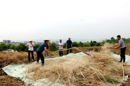 李家嘴村民委员会天气预报更新通知