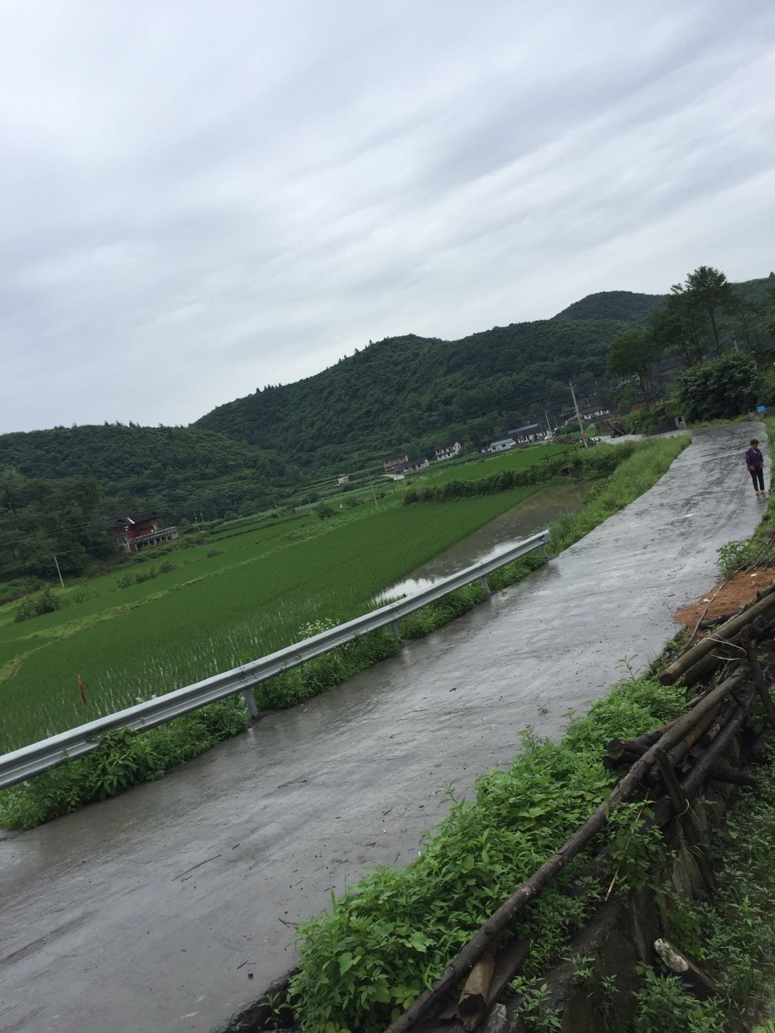 慕家河村委会天气预报及影响解析