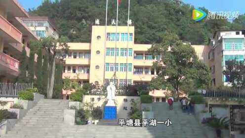 平坝县小学发展规划概览