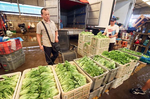 最新特色蔬菜品种，探索绿色健康的未来餐桌